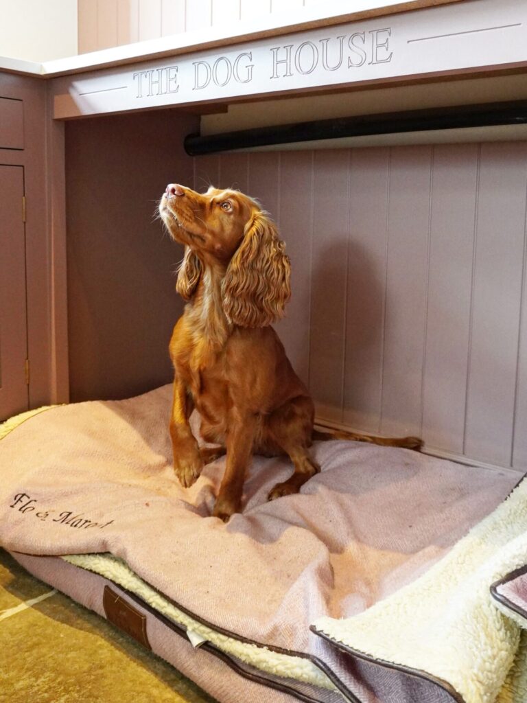 built-in dog bed ideas mudroom nook with The Dog House engraving beadboard and leash rail