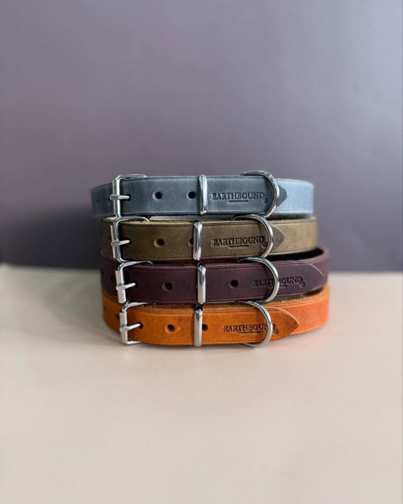 Multi color plain leather dog collar range in slate blue olive plum and burnt orange stacked with silver hardware