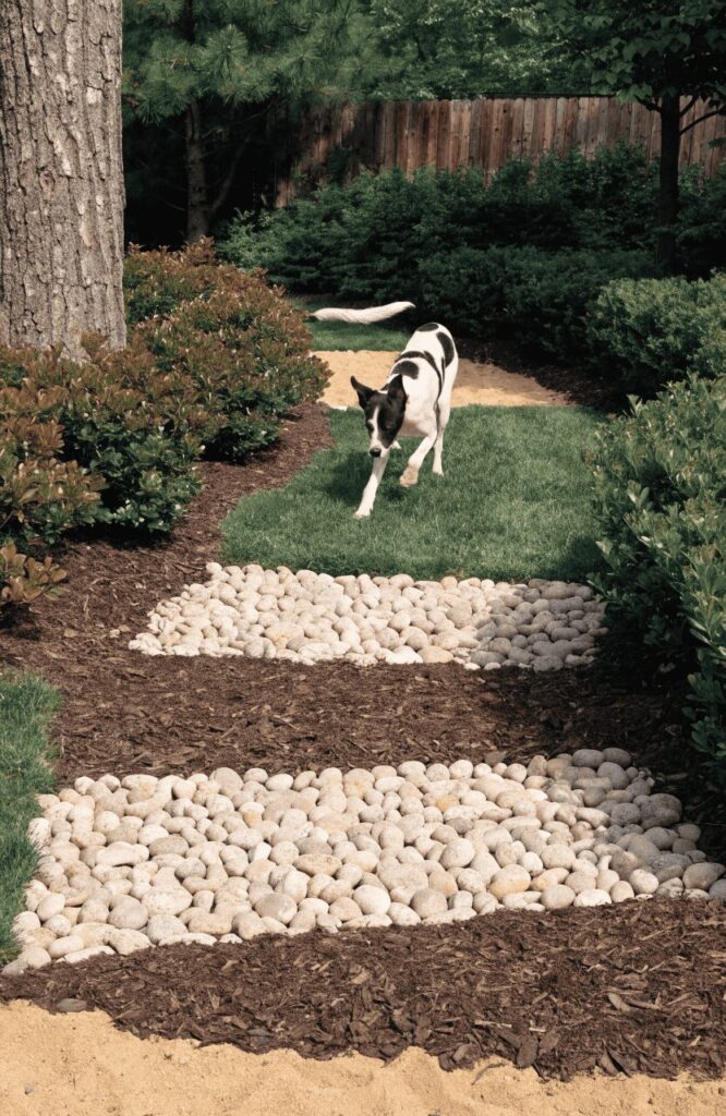 backyard multi texture walking path with stone wood chips and grass for dogs