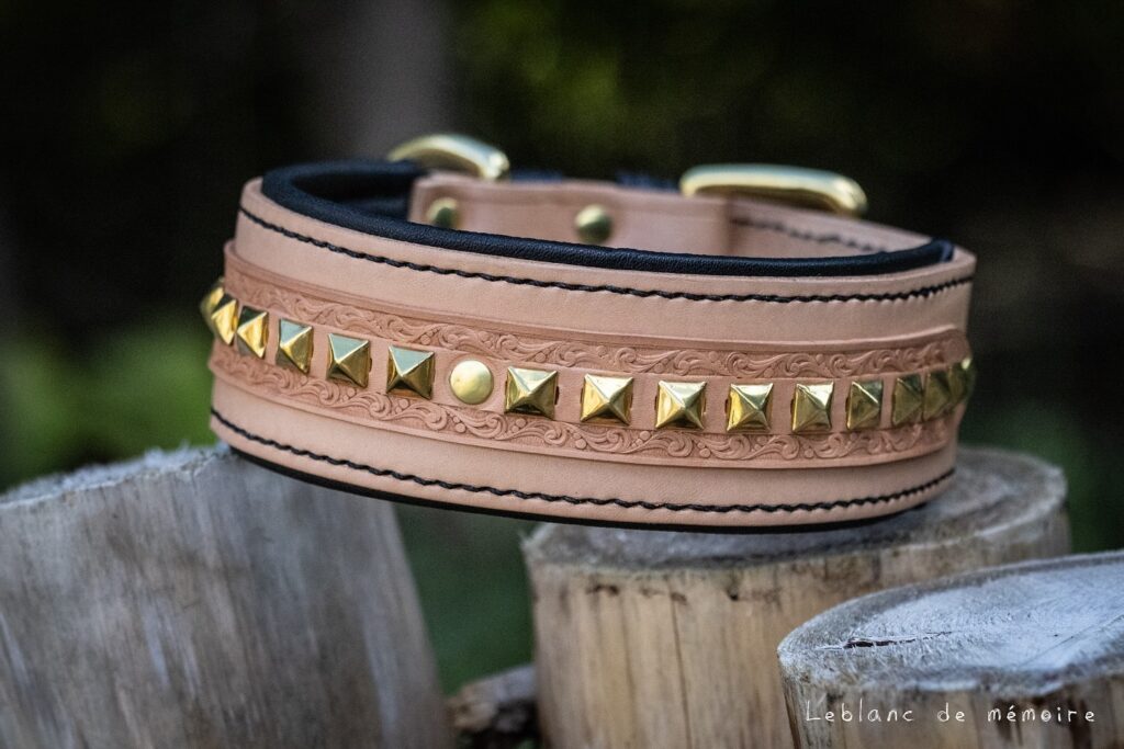 Natural vegetable tanned leather dog collar with gold pyramid studs and scrollwork tooling on wooden post
