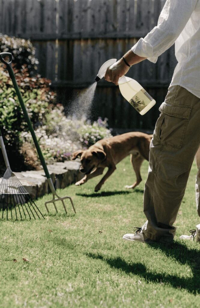 Non-toxic pest control idea for dog-friendly landscaping ideas