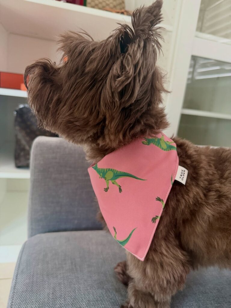 Fun diy dog bandana ideas pink dinosaur print bandana for small dogs