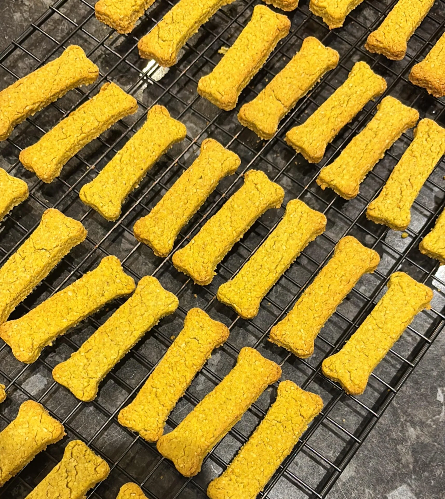 Oat Flour Veggie Dog Treats