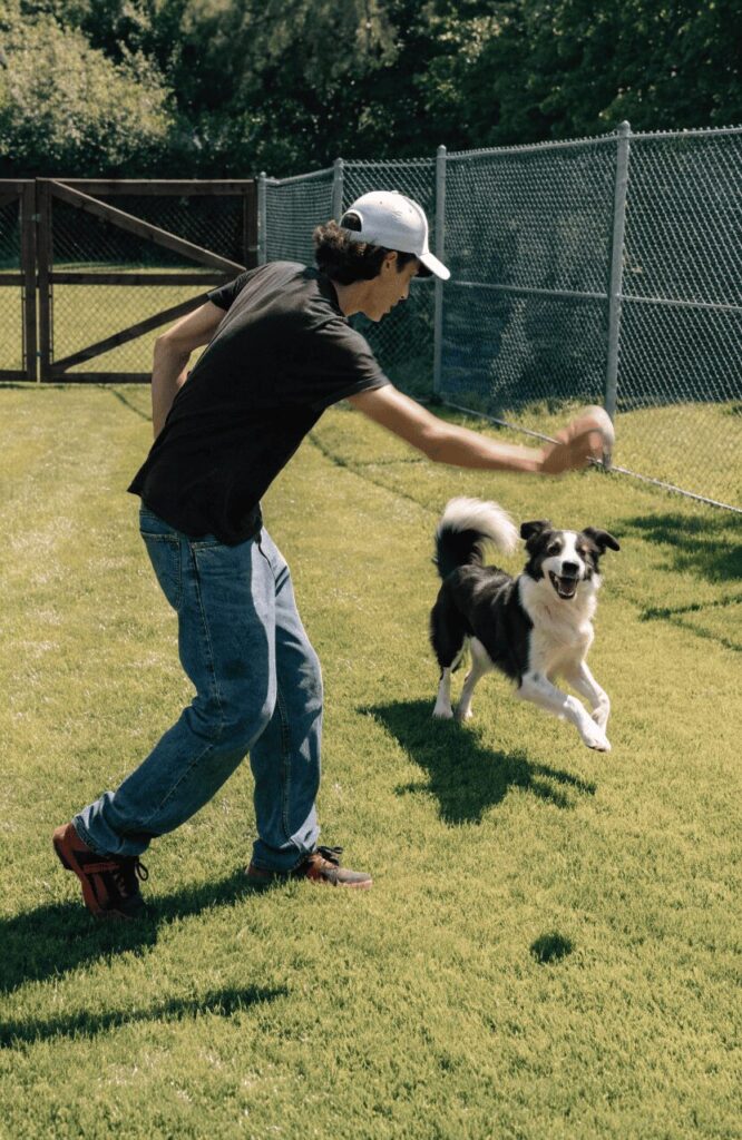 Owner playing fetch with dog inside a fenced backyard