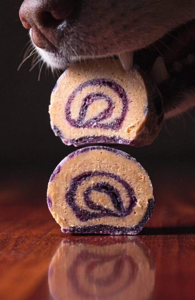 peanut butter blueberry swirl frozen dog treat bitten in half showing interior