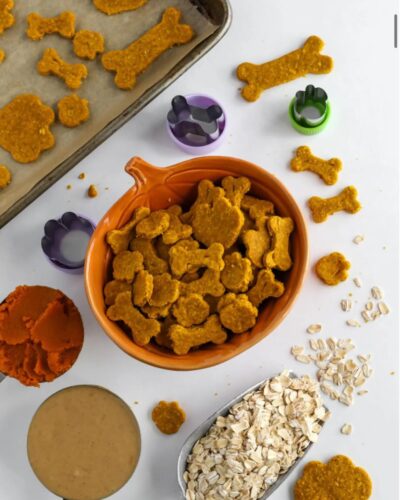 Pumpkin peanut butter oat bites for dogs in bowl