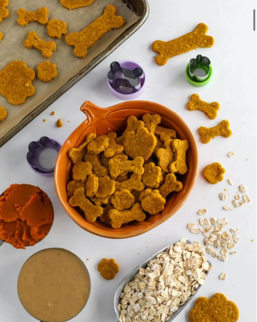 Pumpkin peanut butter oat bites for dogs in bowl