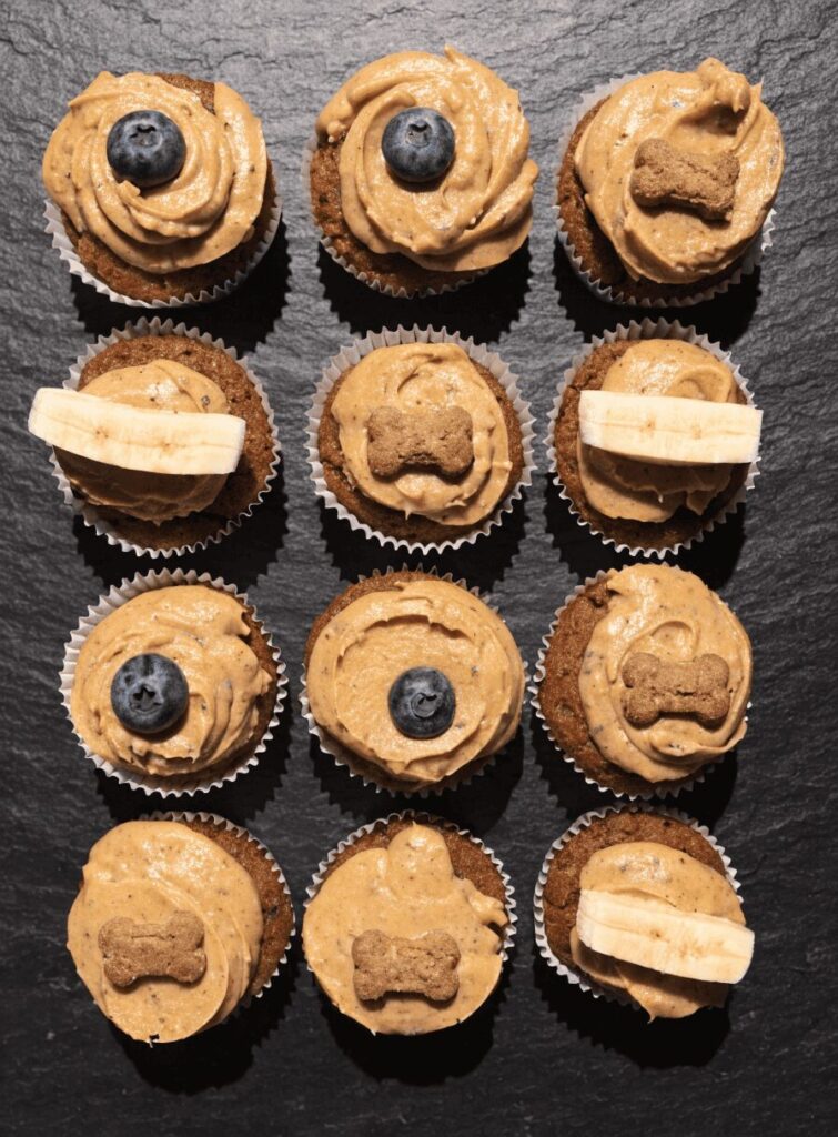 pumpkin peanut butter pupcakes dog treat