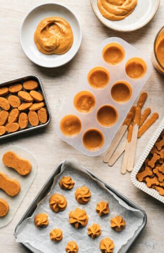 Different shapes of homemade Pumpkin Yogurt Dog Treats ready to freeze