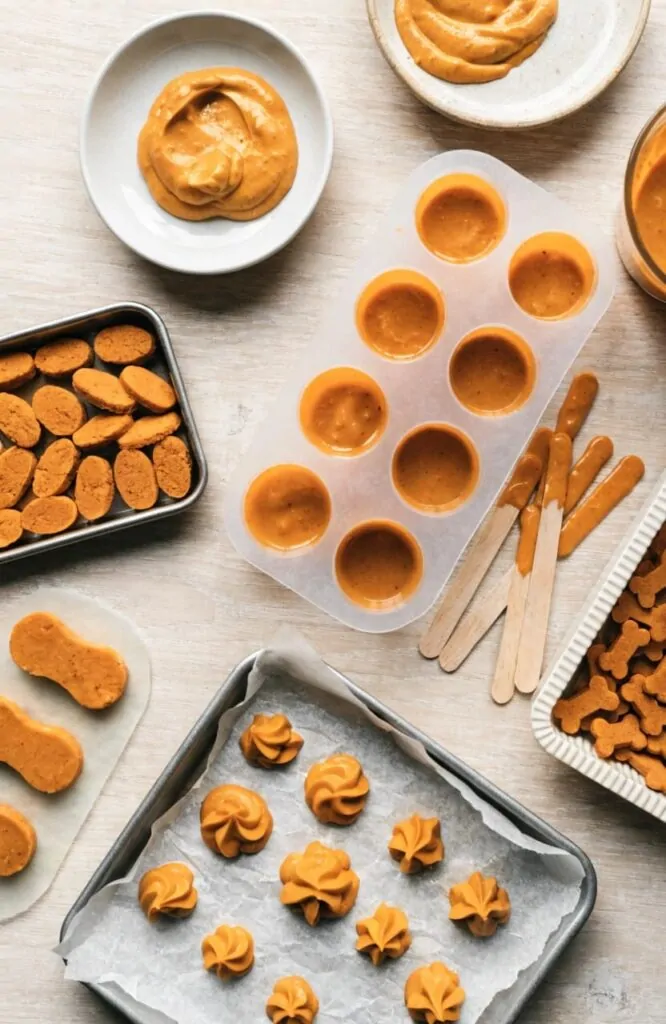 Different shapes of homemade Pumpkin Yogurt Dog Treats ready to freeze