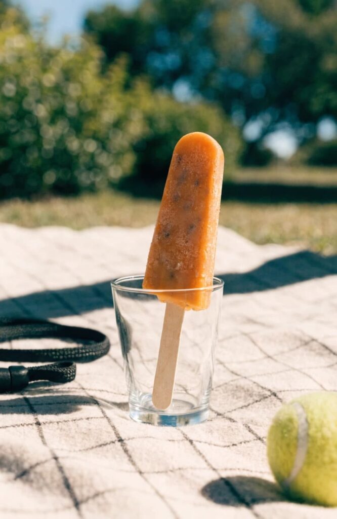 Pumpkin yogurt dog treat popsicle styled in a summer outdoor scene