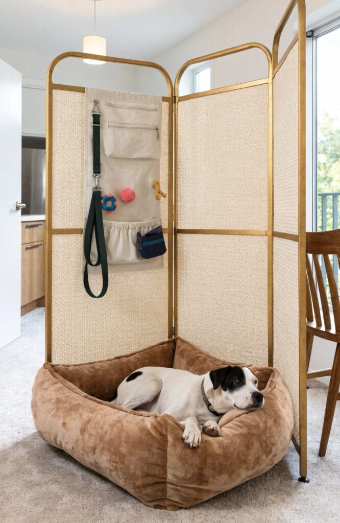 renter friendly dog corner with freestanding room divider and dog bed