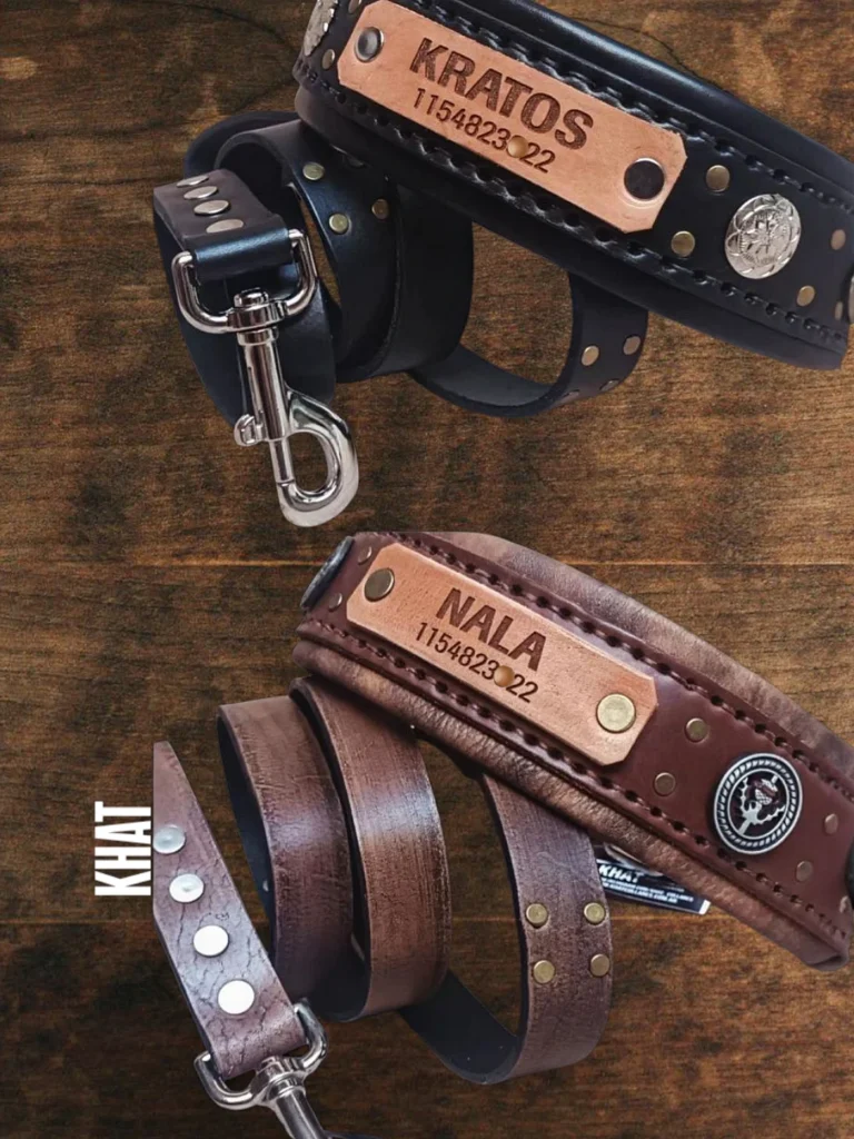 Personalized leather dog collar with riveted copper name plate showing dog names Kratos and Nala