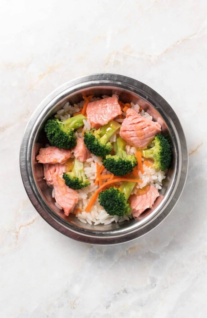salmon and veggie rice bowl for dog nutrition