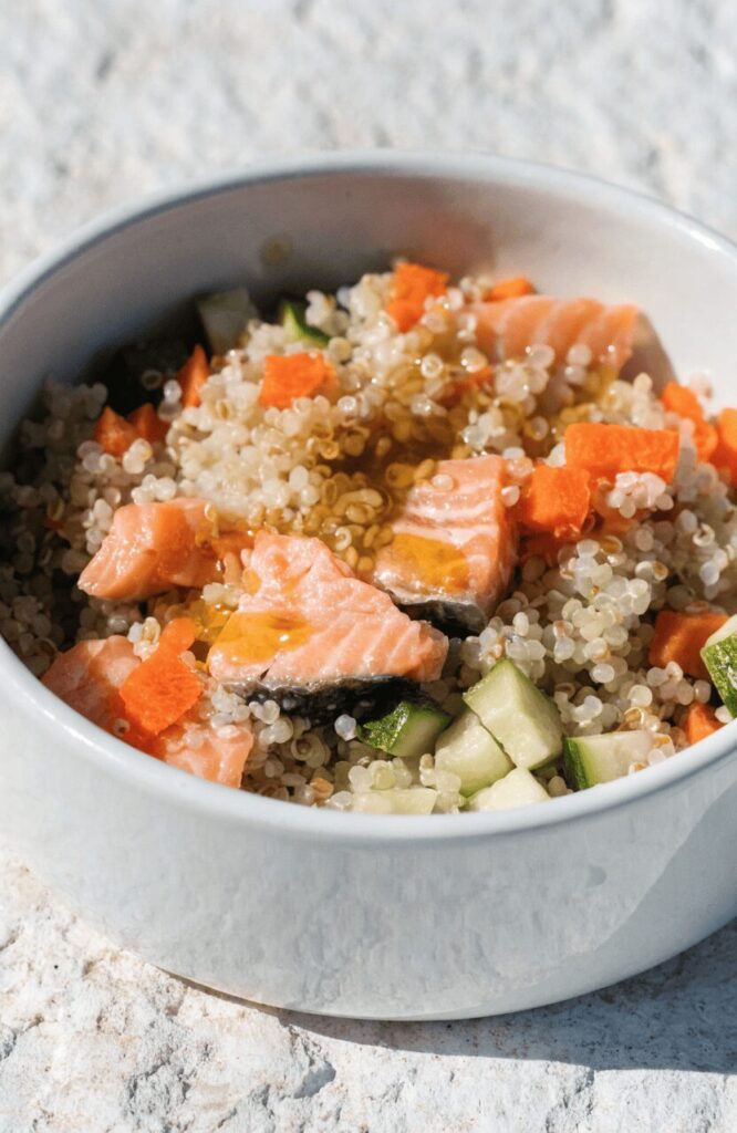 salmon quinoa homemade dog food recipes for itchy skin