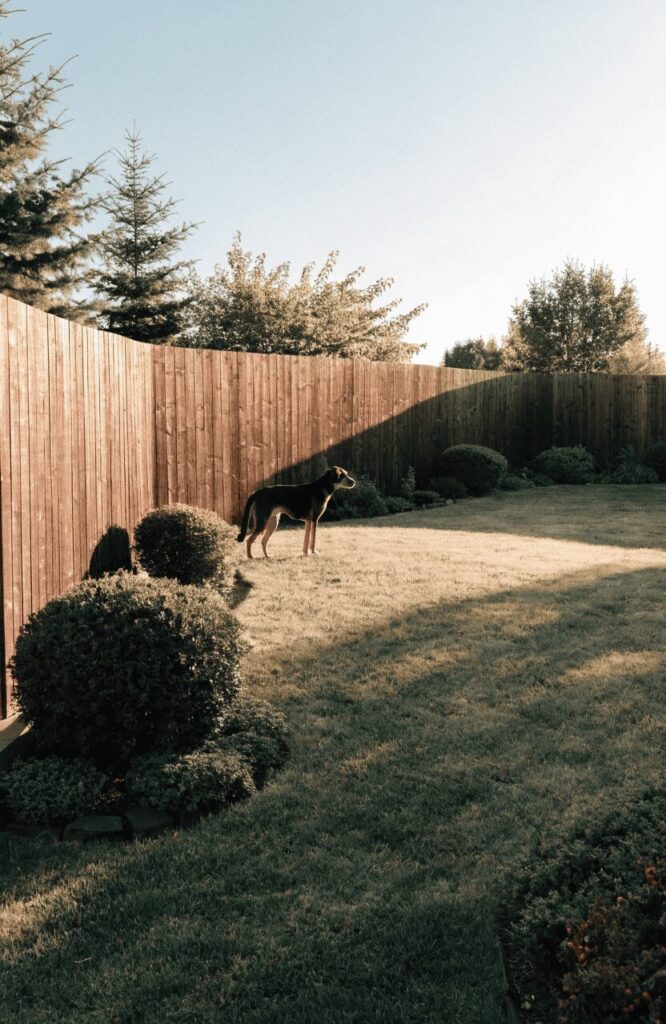 Secure perimeter fence idea for dog-friendly landscaping ideas