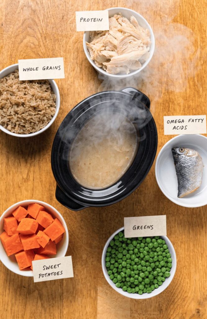 nutritional needs senior dog crockpot recipe guide