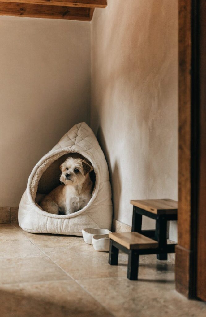 small dog corner with cave bed low bowls and enclosed cozy space