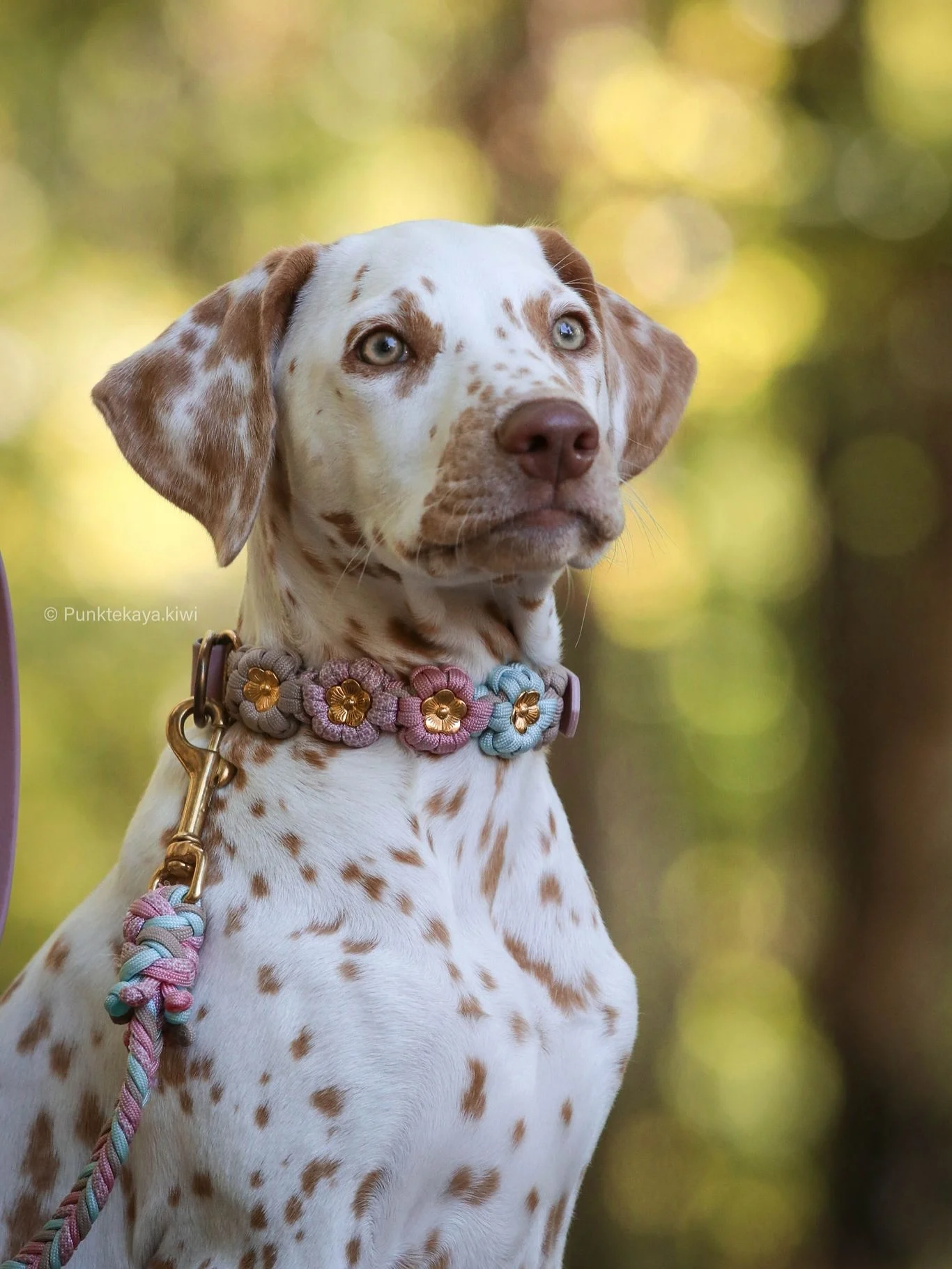 soft macrame flower dog collar on leather base with floral knots