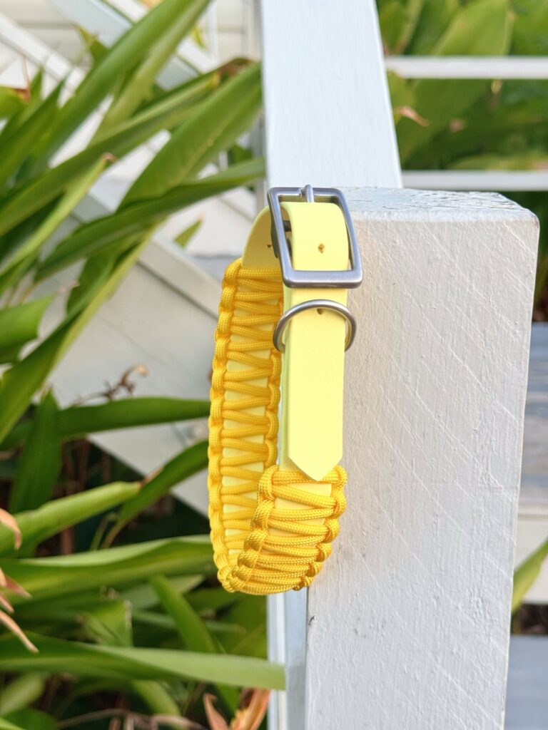 bright yellow weatherproof dog collar on biothane base