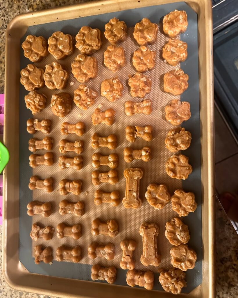 Sourdough Discard Dog Treats