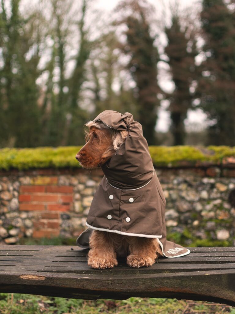 Close up of a drawstring hood on a brown dog raincoat