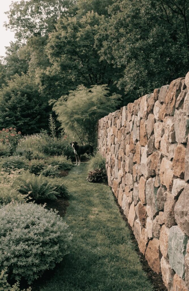 Stone wall fence garden view for large dogs