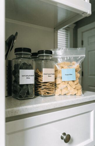 Storing homemade sweet potato and blueberry dog chews properly