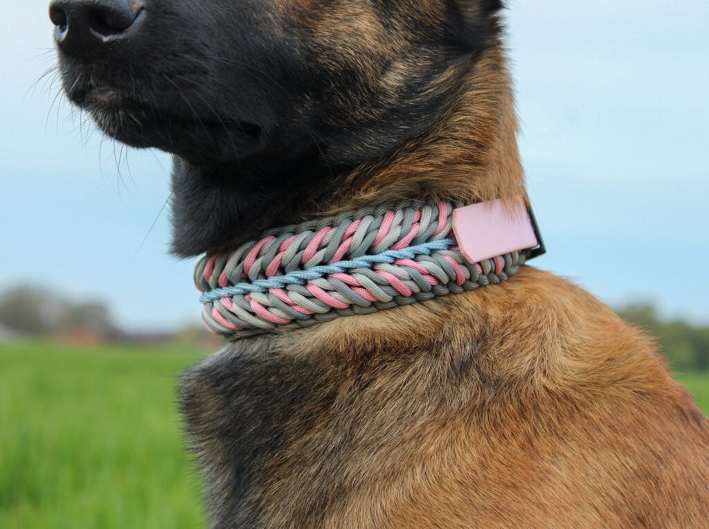 wide braided dog collar in pastel pink blue and gray tones