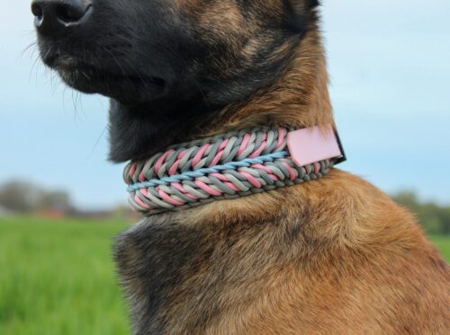 wide braided dog collar in pastel pink blue and gray tones
