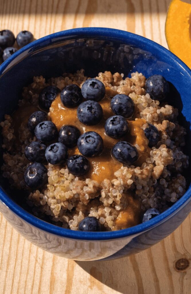 turkey blueberry pumpkin antioxidant homemade dog food recipe