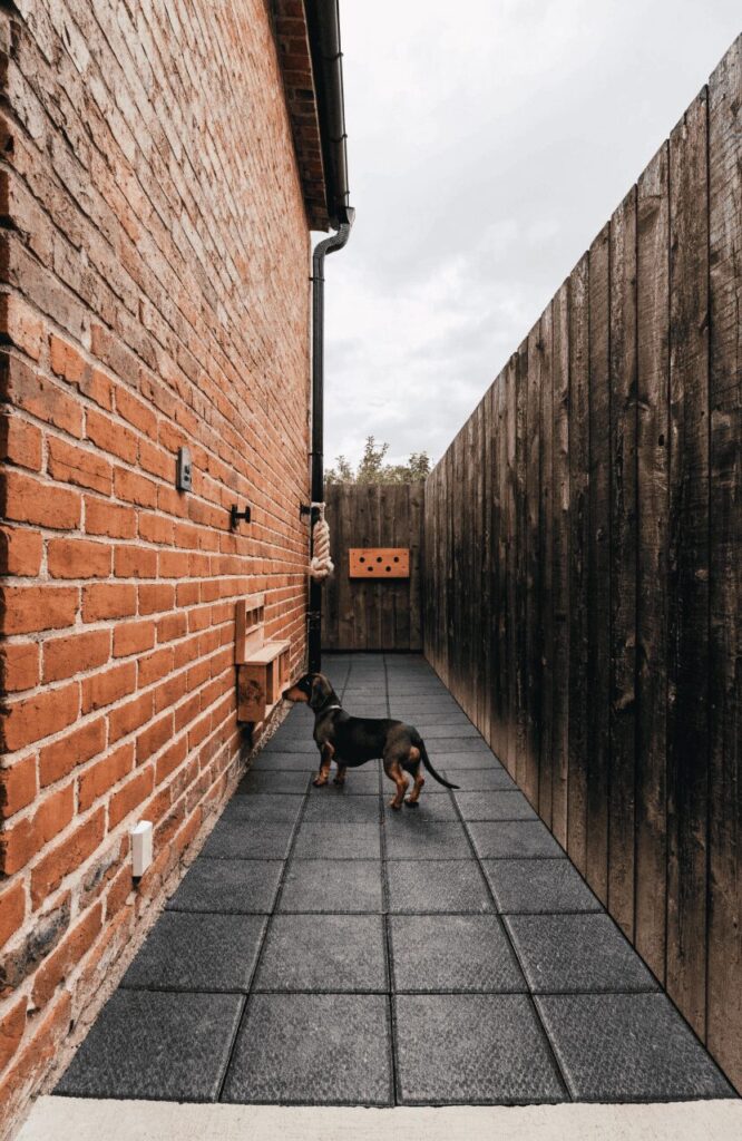 Vertical enrichment wall installed in an ultra-narrow side-yard dog run