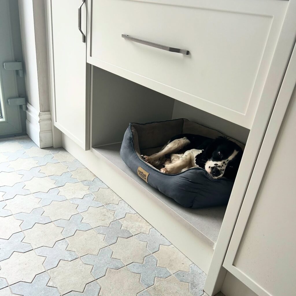 spaniel dog sleeping in under kitchen cabinet built-in dog nook