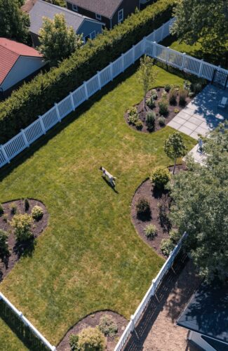 dog-friendly backyard ideas create a happier home for dogs