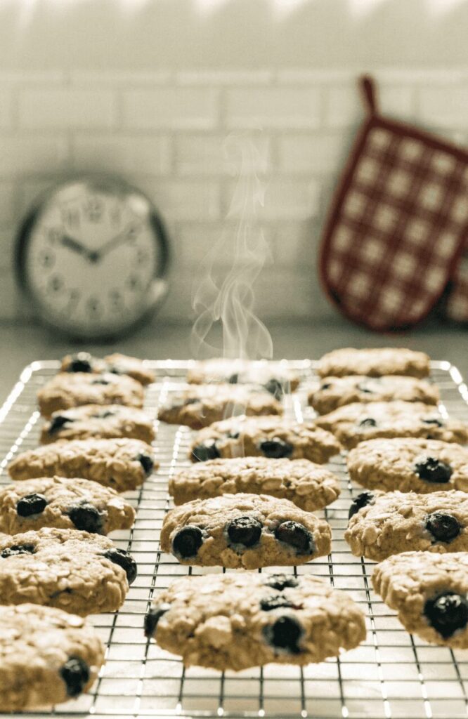 blueberry oat soft homemade dog cookies fresh from the oven