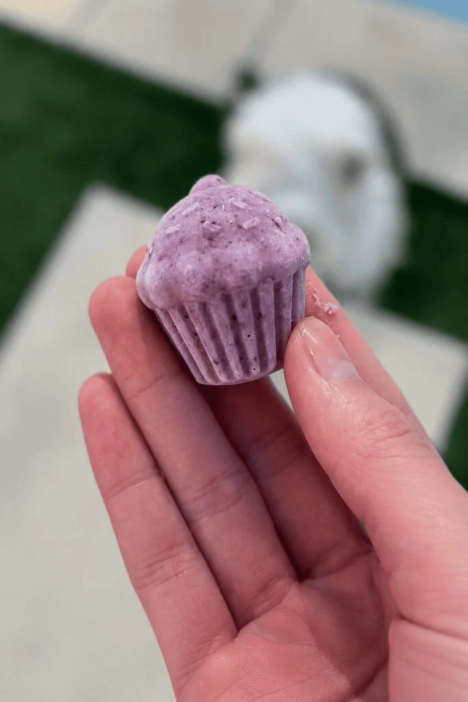 Purple blueberry pumpkin celery no bake dog treats homemade in a flower mold