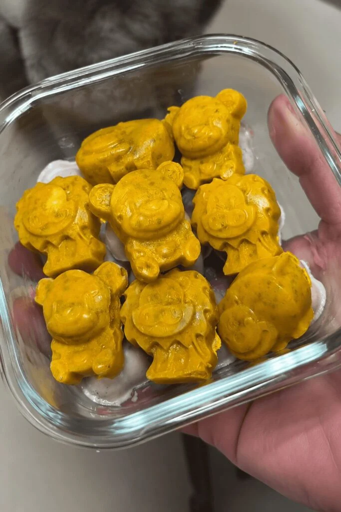 Orange turmeric coconut apple treats for dogs in bear shaped molds