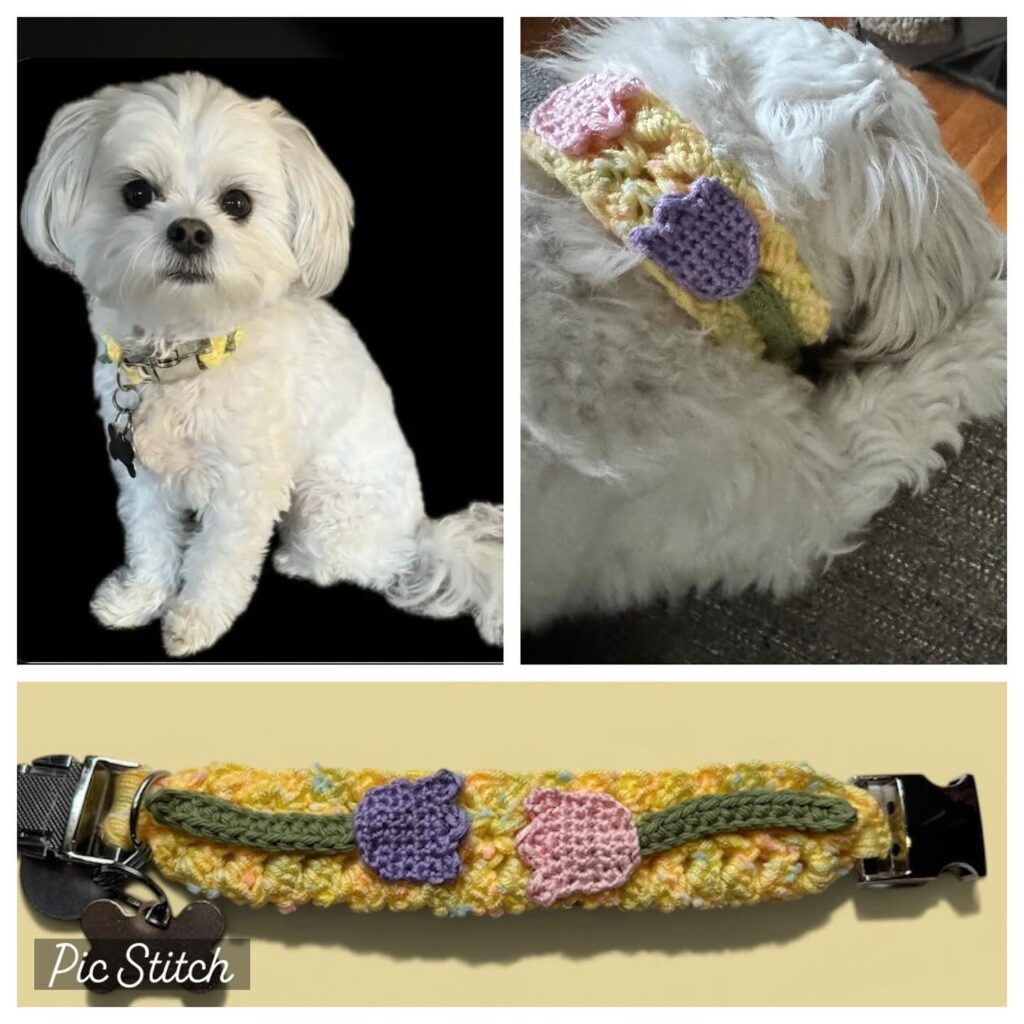 Crocheted DIY dog collar with purple and pink tulip appliqués