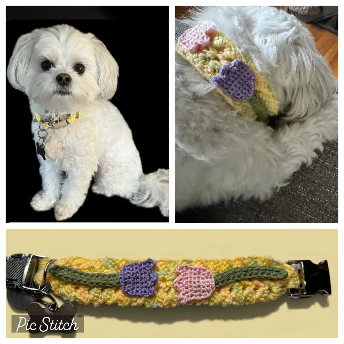 Crocheted DIY dog collar with purple and pink tulip appliqués