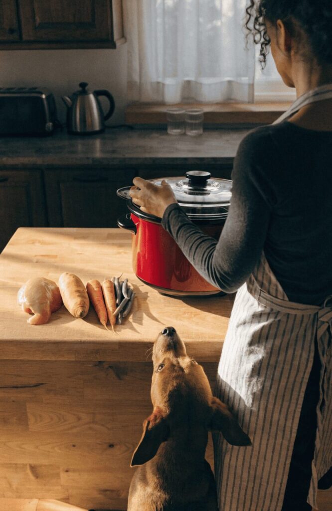 Homemade crockpot dog food lifestyle benefits