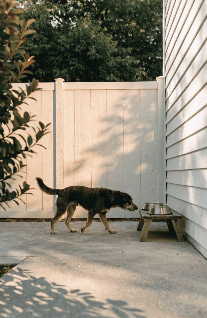 feeding corners organize dog-friendly backyard ideas neatly