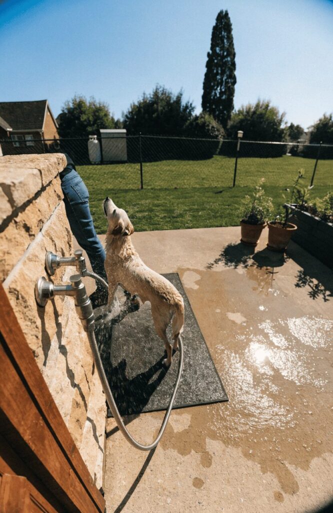 washing stations support practical dog-friendly backyard ideas