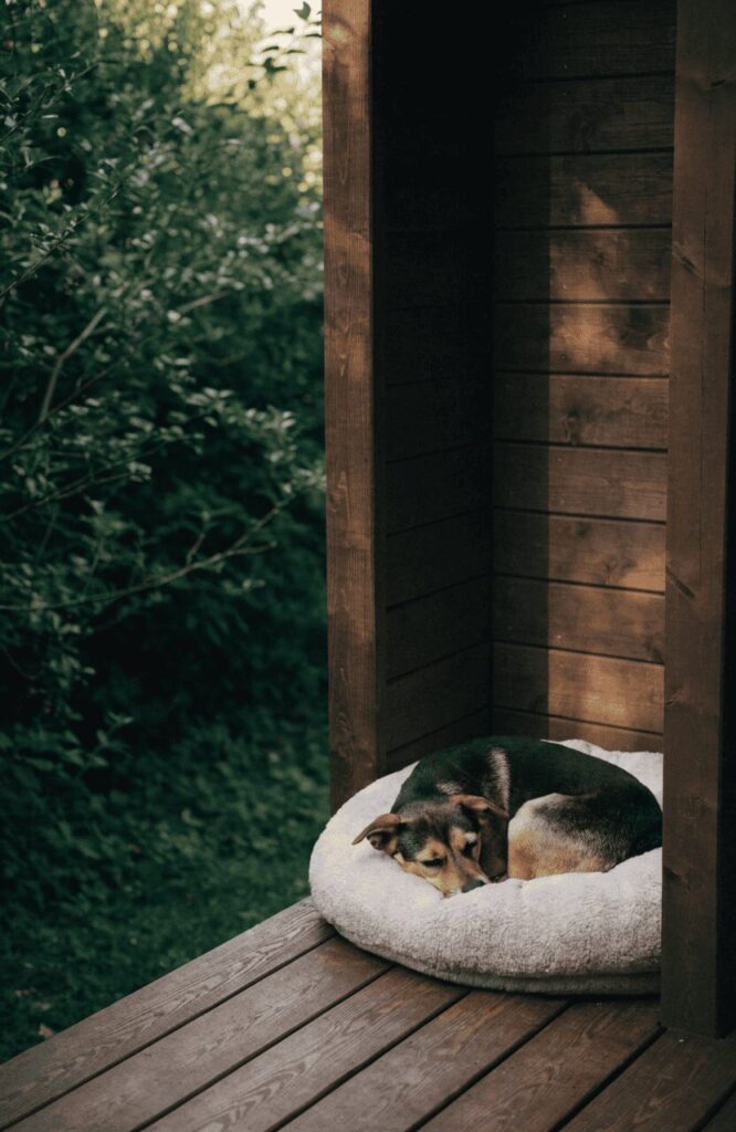 outdoor beds add restful comfort to dog-friendly backyard ideas