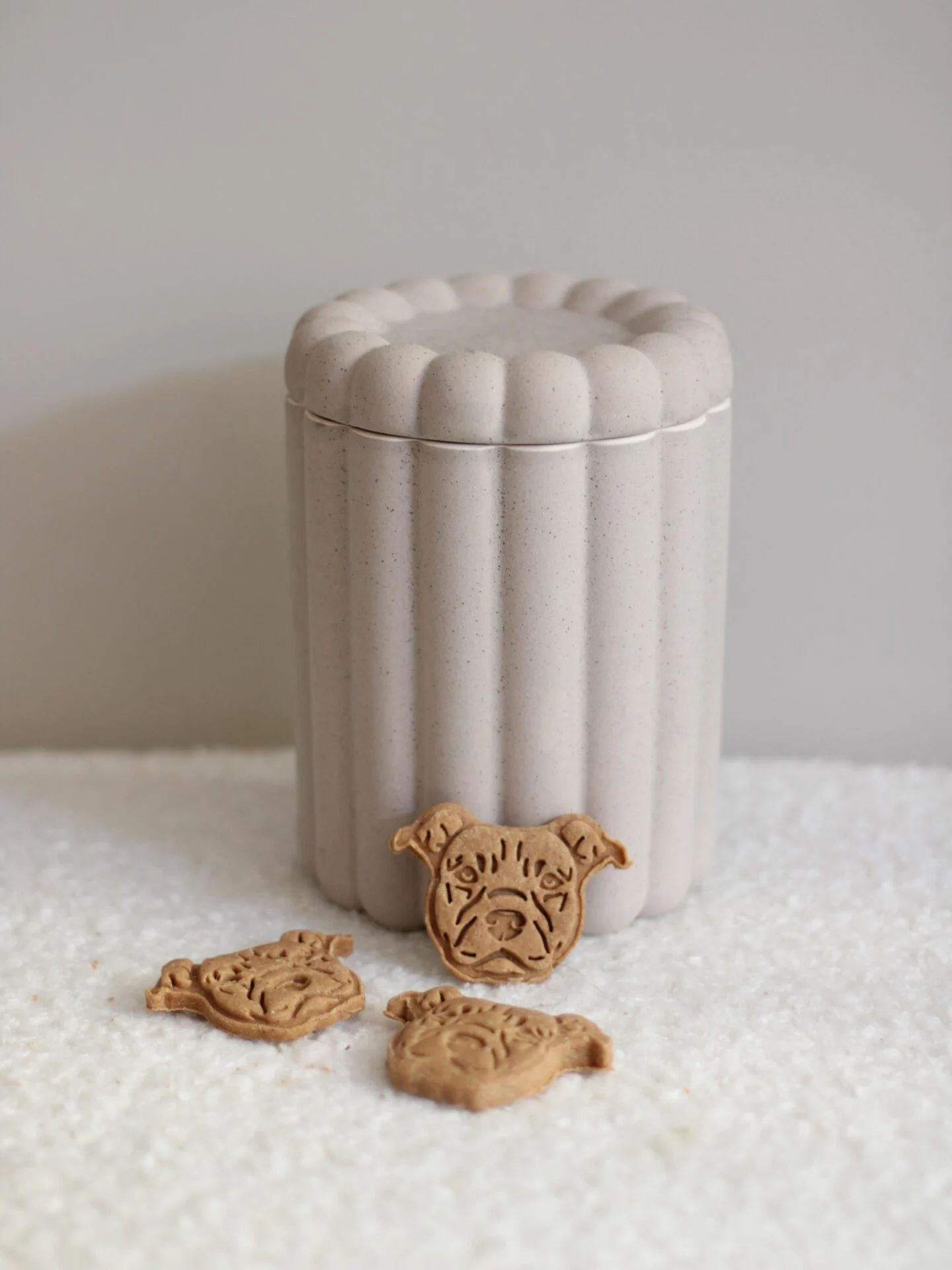 Minimalist ribbed stoneware jar for dog treats with neutral lid