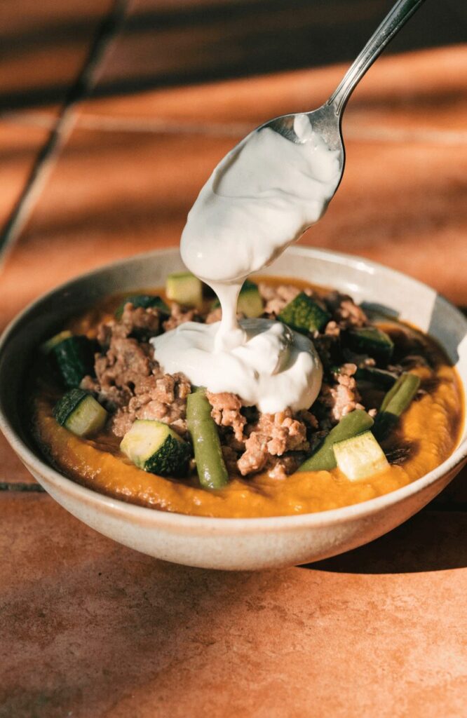 Turkey pumpkin and probiotic dog food for sensitive stomachs