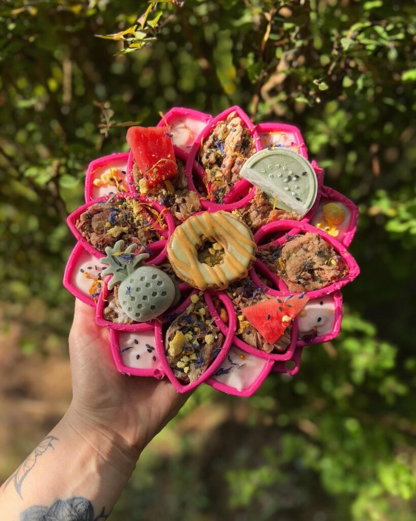Raw dog food bowl with beef bites and superfood toppings