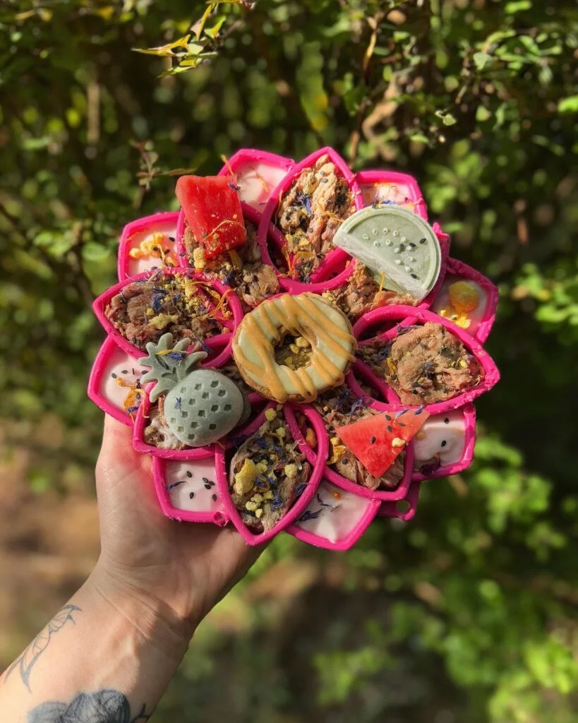 Raw dog food bowl with beef bites and superfood toppings