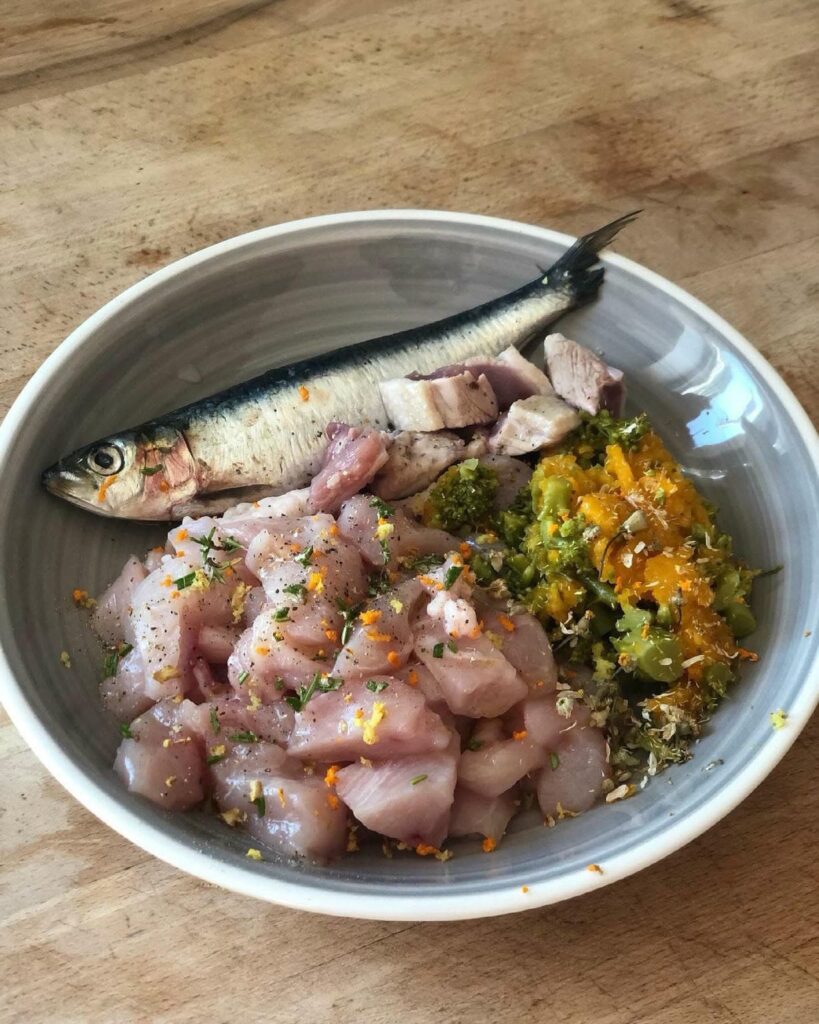 Raw dog food recipes bowl with chicken, sardine, and pumpkin