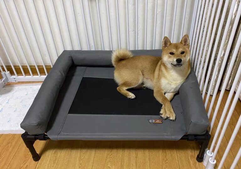 Classic elevated PVC pipe raised dog bed cot with mesh fabric