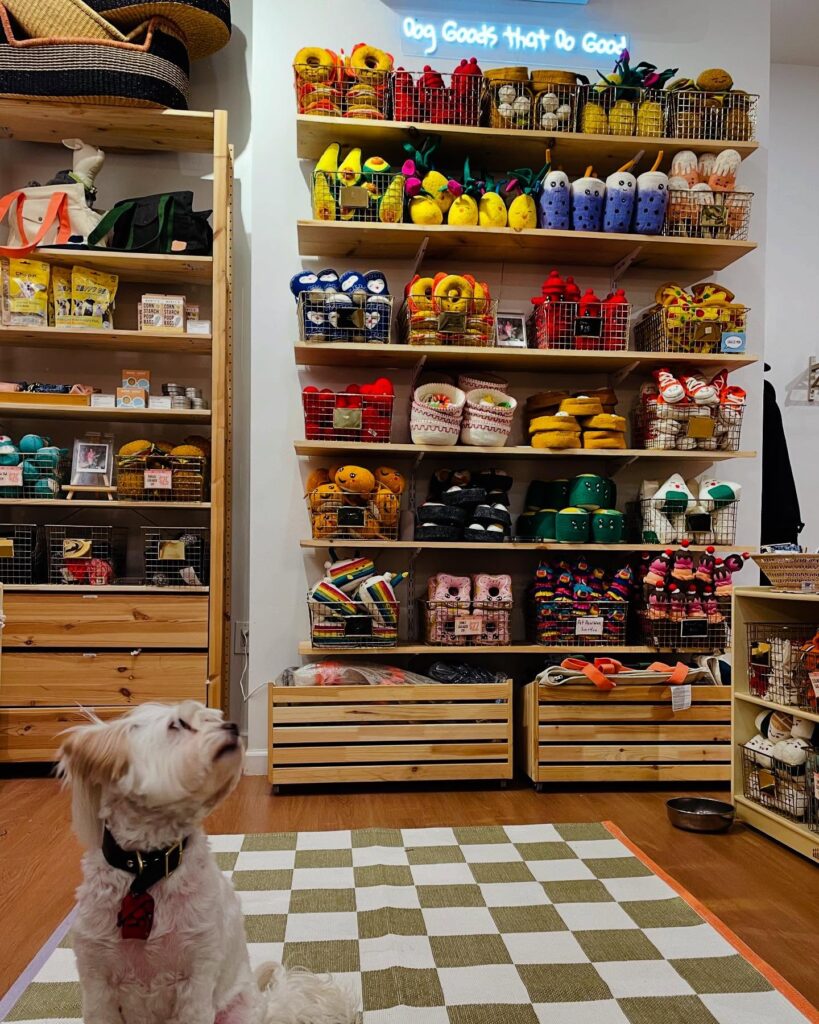 Cozy seating nook in a dog boutique, a customer-friendly layout idea